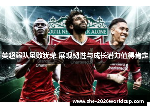 英超弱队虽败犹荣 展现韧性与成长潜力值得肯定