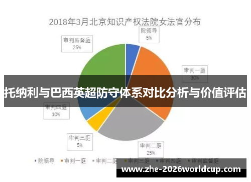 托纳利与巴西英超防守体系对比分析与价值评估